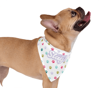 paw_bandana