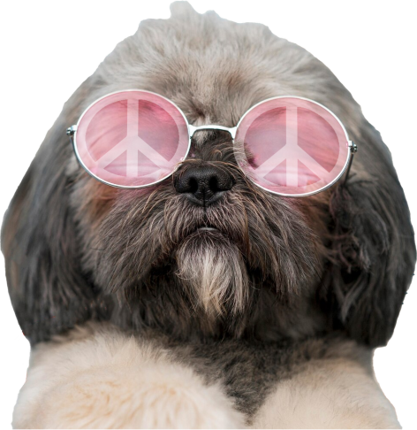 peace_dog